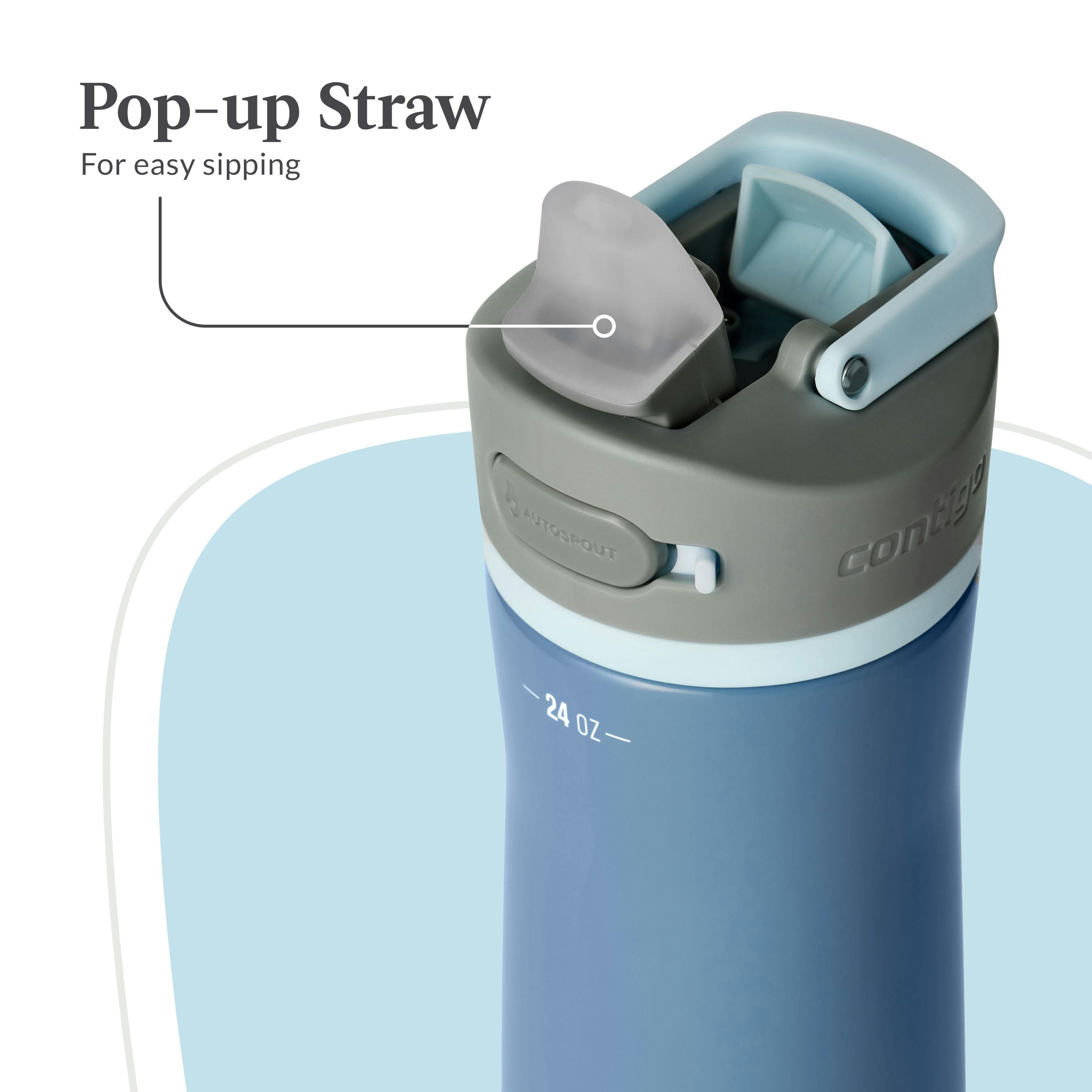Contigo® Wells Chill Stainless Steel Filter Water Bottle with AUTOSPOUT® Straw Lid and Replacement Filter, 24 Oz